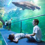 Aquarium San Sebastian