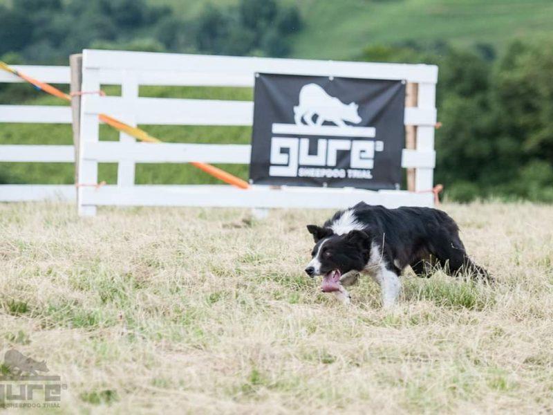 FB IMG 1560245725230