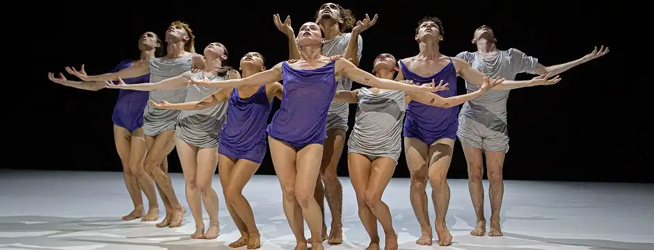 Part of the piece that will be presented by Hona in vitoria-gasteiz