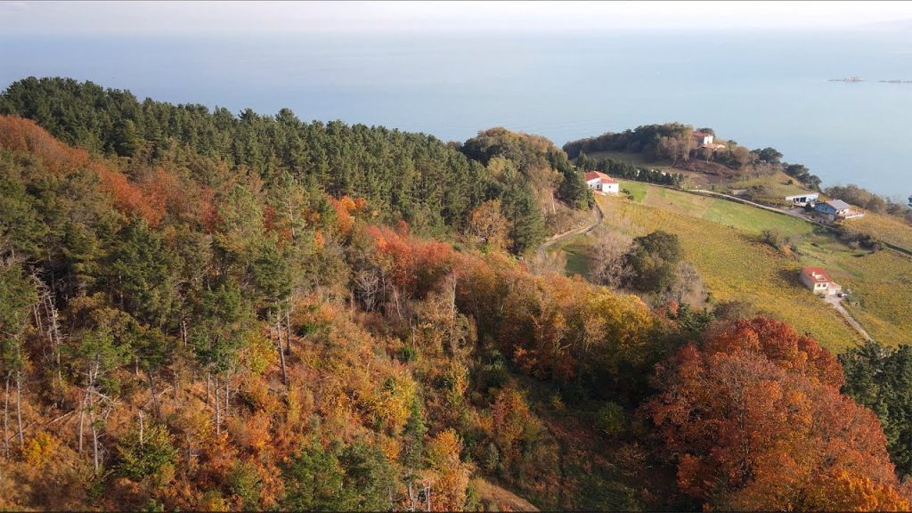 Autumn transforms Zarautz